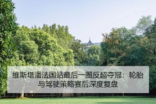 维斯塔潘法国站最后一圈反超夺冠：轮胎与驾驶策略赛后深度复盘
